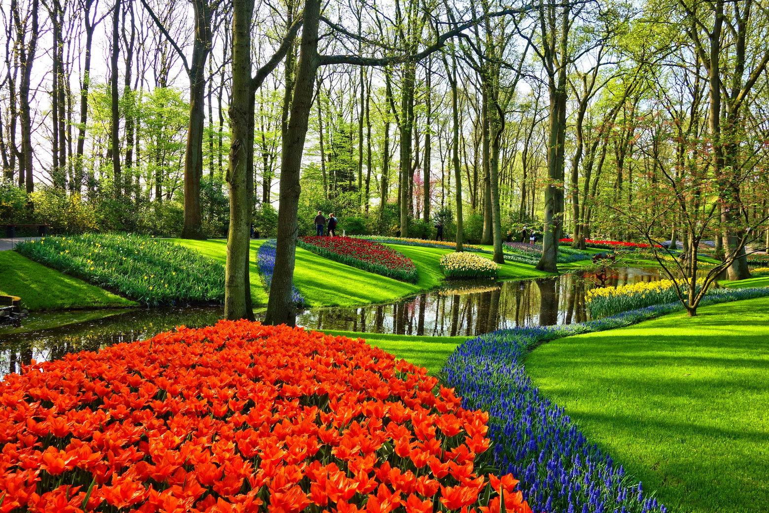 Beautiful Dutch Park With Different Flowers